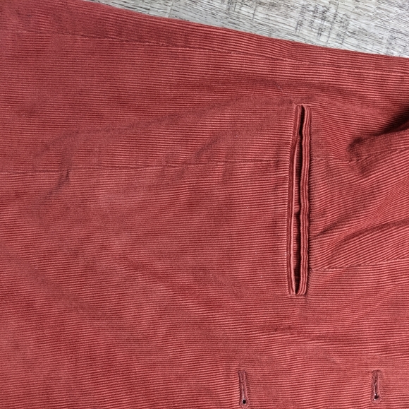 Aritzia Babaton Corduroy Blazer - Picture 7 of 7